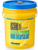 Sentinel 538 clear odor encapsulant 5 gal